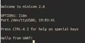 Minicom Output